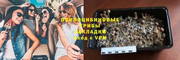 гидропоника Абаза